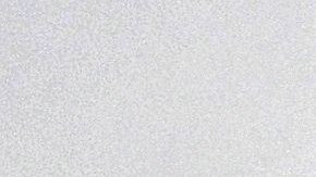 Foto:  Ben Stansall/AFP vía Getty Images. Ser paseador de perros es una otra alternativa para estar cerca de ellos.