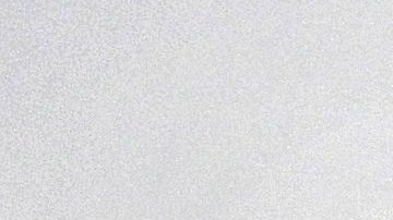 Foto:  Ben Stansall/AFP vía Getty Images. Ser paseador de perros es una otra alternativa para estar cerca de ellos.