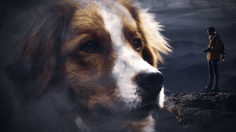 La fobia a los perros se origina casi siempre en la infancia.