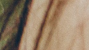 Los novios no querían perder el dinero que ya habían pagado para la boda.