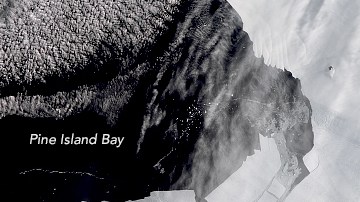 Icebergs en Glaciar Pine Island