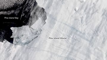 Icebergs en Glaciar Pine Island