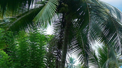 Piscina, una lujo innecesario que no da valor a la vivienda por su construcción.