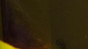 La empresa dará bagels en la mañana y pizzas en la tarde.