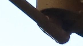 Estación de buses Port Authority, NYC