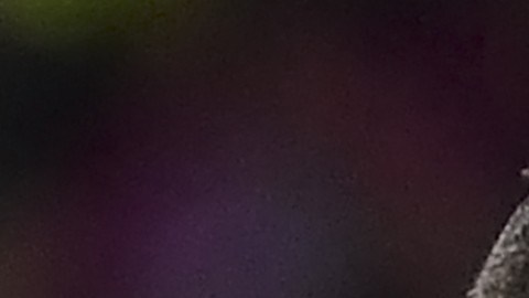 Los exfutbolistas tienen 3.5 veces más probabilidades de morir de una enfermedad cerebral.