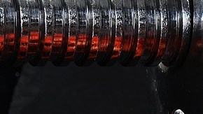 Proteína-Zuzyusa en Pixabay