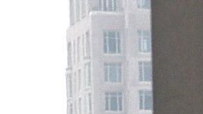 Violencia callejera en Brooklyn