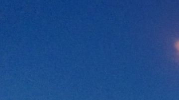 El Queens Night Market durante las noches del verano de 2019./Shanon Medina-Chávez (QNM) Cortesía