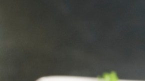 Quesadilla con frijoles pintos. Crédito: Travellinglight-Canva