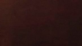 La sospechosa fue identificada como "Jovana".