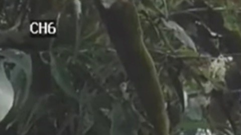 Captura de las cámaras de vigilancia apuntando al ladrón con un arma.