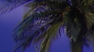 La mujer resolvió el panel en solo 10 segundos.