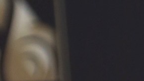 Sandra Echeverría en Premio Lo Nuestro 2020.