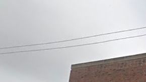 La oficina de Pilsen.