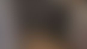 Al parecer, las orgías de serpientes es algo habitual en esta época del año.