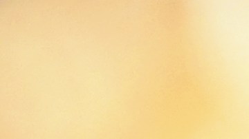 shutterstock_1064490332