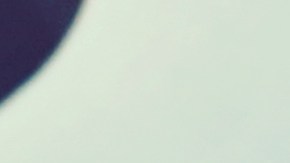 Revisó el teléfono de su novia y descubrió la verdad.