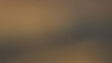 shutterstock_1165365919