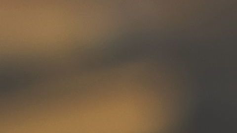 shutterstock_1165365919