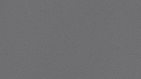 shutterstock_1299481288