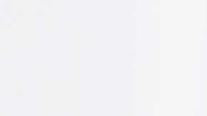 perder peso adelgazar