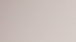 shutterstock_597219416