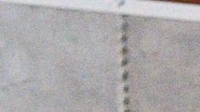 Los presentadores de Un Nuevo Día también se pusieron la camiseta de "Decisión 2020".