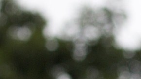 Existen casos de santos cuyos cuerpos yacen incorruptos.