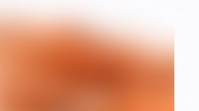 Foto: Shutterbug75/Pixabay