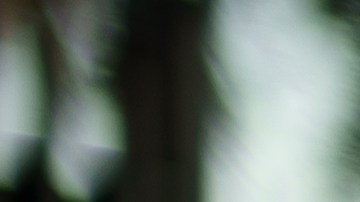 De ganar la campaña para ser asambleísta de California, Sylvia Rubio sería la tercera hermana en ser legisladora estatal al mismo tiempo. (Cortesía campaña de Sylvia Rubio)