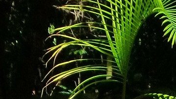 El horóscopo Azteca se basa en su calendario.