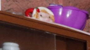 Tía Irma caso Fátima