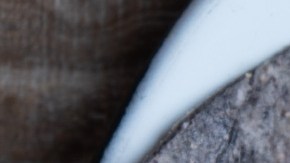 Tortillas-Carlos Rojas20-Canva