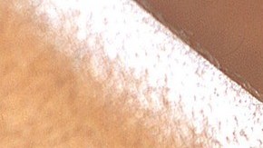 La unión hace la fuerza hasta para poder comprar una casa.