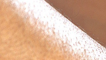 La unión hace la fuerza hasta para poder comprar una casa.