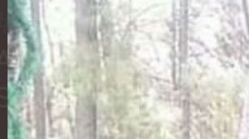 VIDEO: El Chonito, niño sicario del Cártel de Sinaloa la amenaza del futuro