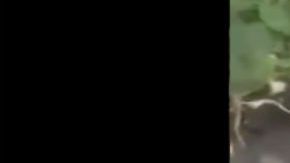 VIDEO: Grupo Árabe del CJNG interroga y ejecuta sin compasión a uno de Cártel de los Viagras