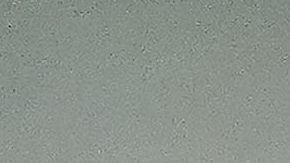 vincent-janssen-patty-lopez-terminan