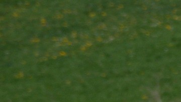 Volkswagen Vocho
Crédito: Pixabay