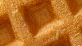 Waffle-Dusty Pixel-Canva