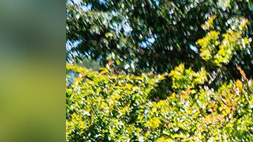 También despidieron a los otros empleados que se pueden ver en el video.