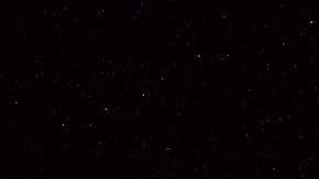 zague traumó a paola rojas