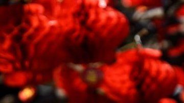 China ha conseguido frenar la pandemia después de más de 80 mil infectados en el país.