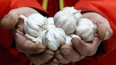 El ajo puede ser bueno para la salud general, pero no detendrá al coronavirus.