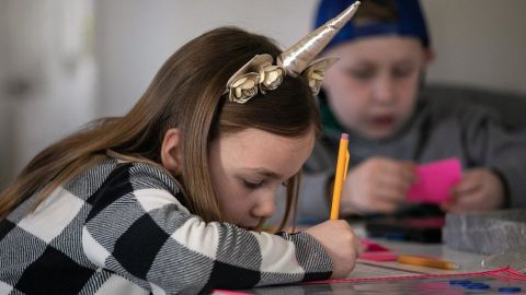 Se les puede establecer a los niños par de horas de estudio en la mañana o alguna actividad de artesanía en algún horario específico de la tarde.