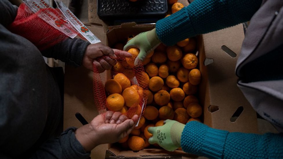 El jugo de naranja se convirtió en el activo con mejor desempeño en lo que va del año.