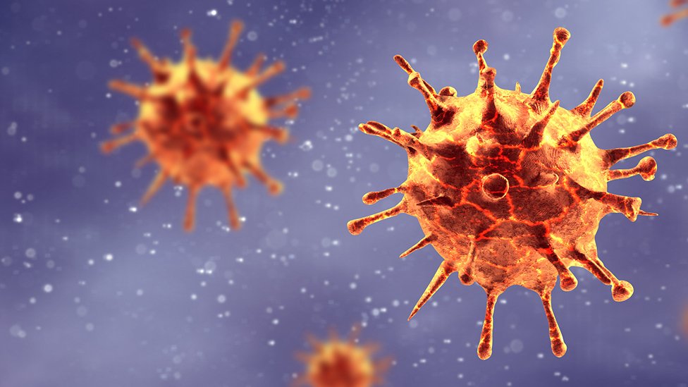 Los expertos coinciden en que nunca se había visto un virus como el SARS-CoV-2.