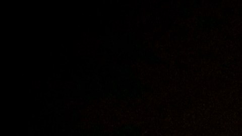 La activista se aisló tras estar viajando por Europa.