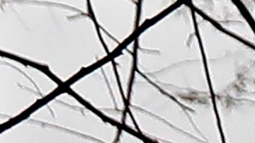 En la ciudad de Nueva York han muerto 776 personas.